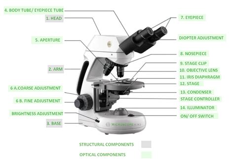 Compound Microscopes Light Source Shelly Lighting