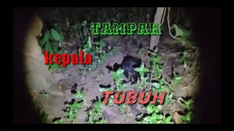 We did not find results for: Hantu kepala tanpa badan. - YouTube