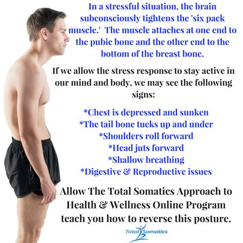 The Importance Of Good Posture Muscle Control For Exercise Total