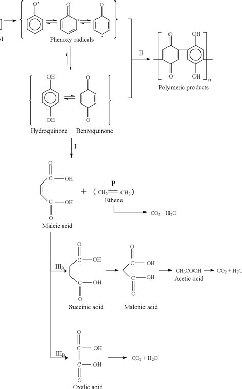 Figure From Reaction Pathways And Mechanisms Of The Electrochemical