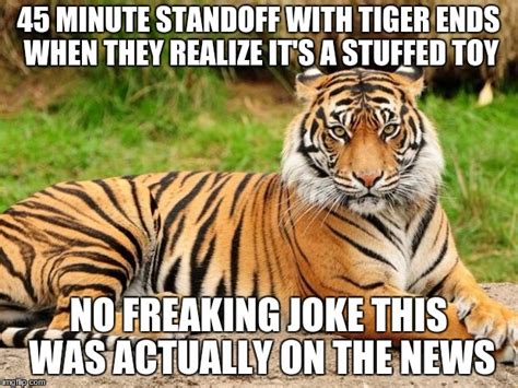 Srsly Tiger Imgflip