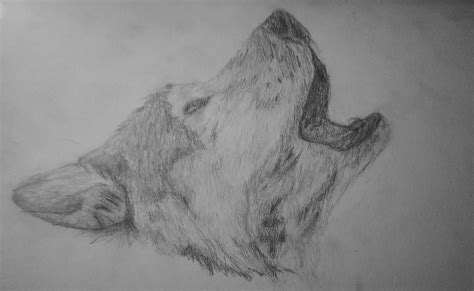 We did not find results for: FREE 20+ Wolf Drawings in AI