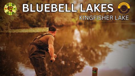 Carp Fishing Vlog At Bluebell Kingfisher Lake Day Ticket Fishing