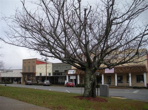 303 gilmer avenue tallassee, alabama, 36078. Dadeville Funeral Homes, funeral services & flowers in Alabama