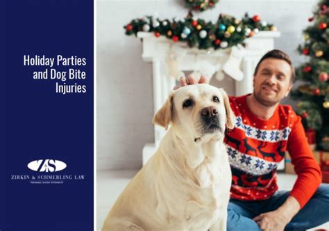 Holiday Parties And Dog Bite Injuries Zirkin And Schmerling Law