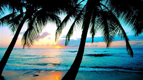 Tropical beach wallpaper wall murals wallsauce us. Beach Backgrounds For Desktop - Wallpaper Cave