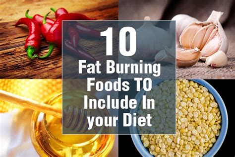 World Of Information 10 Foods That Burn Body Fat