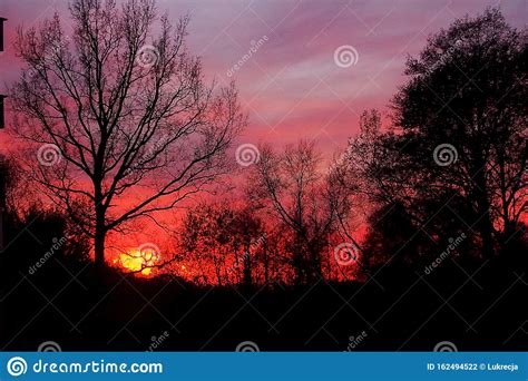 Red Autumn Sky During Sunset With Black Shapes Of Leafless Trees Stock