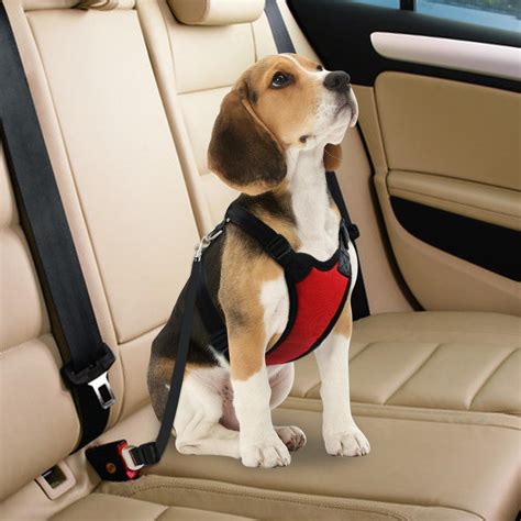 In general, cars were not built with dogs in mind. Best Dog Car Harness - Our Top 3 - Auto by Mars