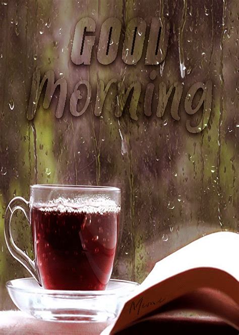 Rainy morning quotes wednesday morning quotes good morning god quotes good morning motivation good morning snoopy good morning saturday good morning gif good morning flowers good morning beautiful images. 43 Amazing Good Morning Rain Pics
