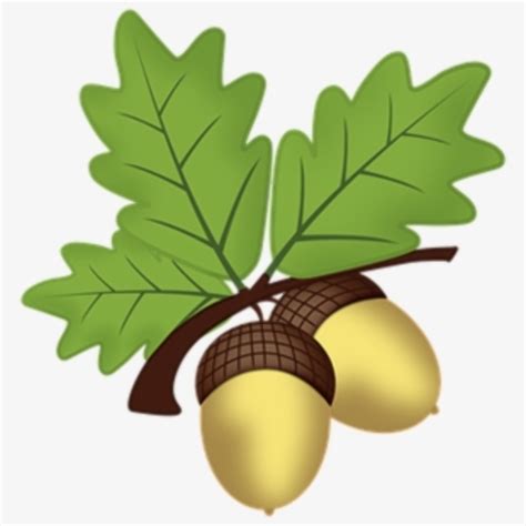 Download High Quality Acorn Clipart Leaves Transparent Png Images Art