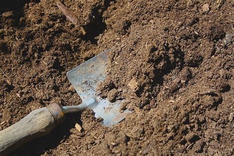 Know Your Garden Soil How To Make The Most Of Your Soil Type Garden