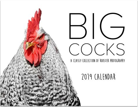 Big Cocks 2019 Wall Calendar A Classy Collection Of Rooster Etsy