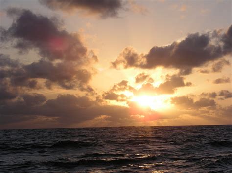 무료 이미지 바닷가 연안 물 대양 수평선 햇빛 태양 해돋이 일몰 아침 육지 웨이브 새벽 황혼 저녁