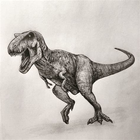 T Rex Drawing Dinosaur Art
