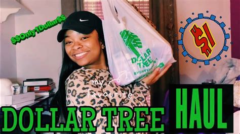 Dollar Tree Haul | The Inside Scoop | 2020 - YouTube