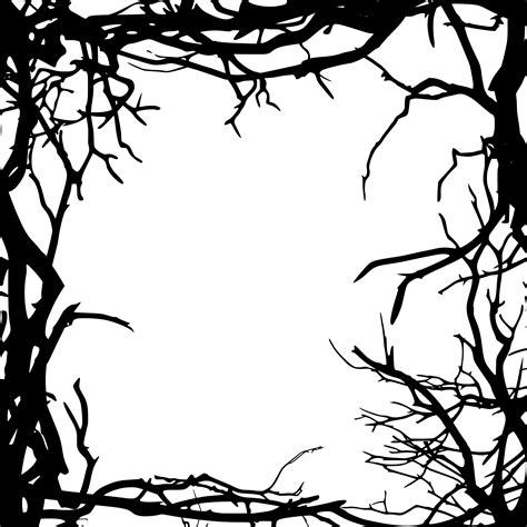 6 Square Tree Branch Frame Png Transparent