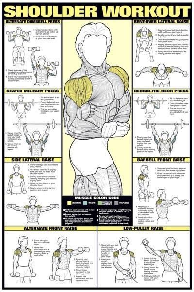 Whether you are moving your arm or neck, getting up or sleeping, breathing or simply walking, you will be using one or more of your chest muscles. Shoulder workout | Upper Body Workout | Pinterest | How to ...