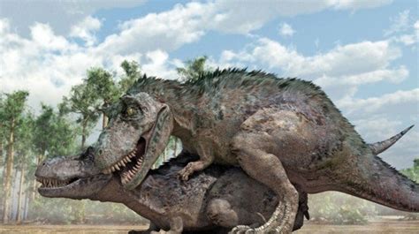 ¿cómo Hacían El Amor Los Dinosaurios Fotos El Huffpost Noticias