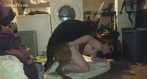 Young Man Lets His Dog Mount And Fuck His Wazoo Xxx Femefun