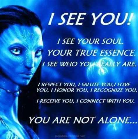 Avatar I see you | Seeing you quotes, Avatar quotes, I respect you