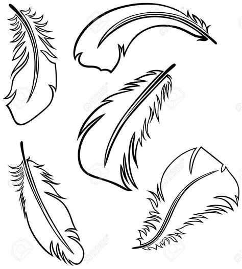 Feather Outline Drawing At Getdrawings Free Download