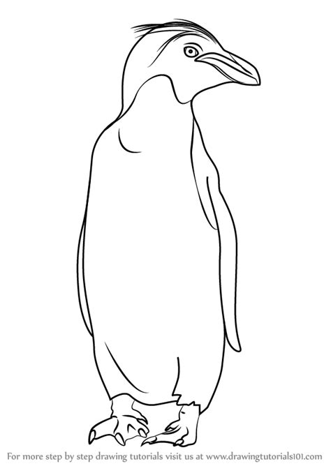 Don't forget to add a splash of bright yellow color to the plumage of your penguin, as this will make your picture pop. Step by Step How to Draw a Macaroni Penguin ...