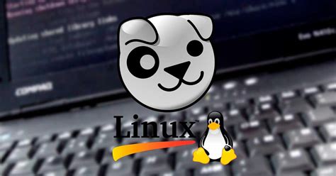 Puppy Linux 95 Nuevo Sistema Operativo Para Ordenadores Antiguos