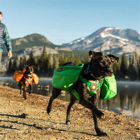 Hiking backpacks all have a few common features. 14 Best Dog Backpacks for Hiking in 2020