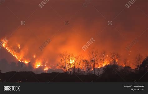 Forest Fire Night Image And Photo Free Trial Bigstock