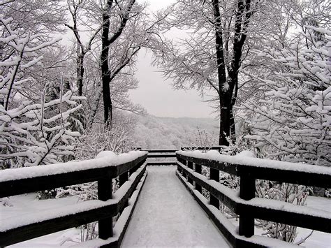 Winter Landscape Photograph 11x14 Black And White Photography