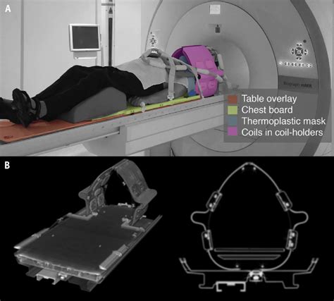 (A) Setup for positron emission tomography (PET)/magnetic resonance