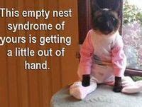 The empty nest facebook page is managed in conjunction with the empty nest tv website located at. 17 best images about Empty Nest Humor on Pinterest ...