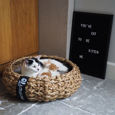 We have featured all the most unique, luxurious and awesome cat beds money can buy. District 70 Cat bed | COCOON S | The classic, natural ...