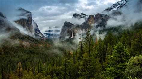 Yosemite Valley Morning Fog In Yosemite National Park