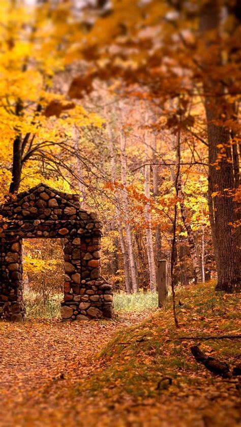 We did not find results for: Fall iPhone Wallpaper 20 | Phone wallpaper images, Fall ...