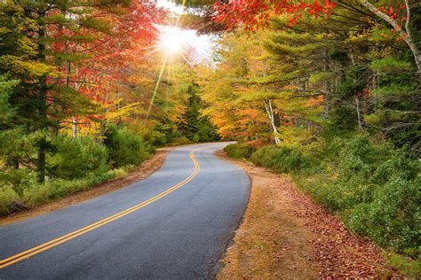 A Guide To A Fall Foliage Road Trip Through New England