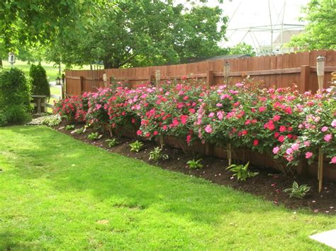Cottage Garden Design With Roses Wilson Rose Garden