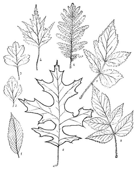 See more ideas about wood burning patterns, wood burning, wood burning crafts. 28+ Epic Free Printable Wood Burning Patterns ...