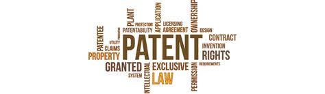 Patent Law Patentability Applications And Prosecution Alexander Legal LLC Atlanta GA