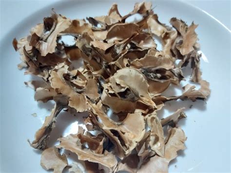 35 recettes de zeste avec photos : Zeste de noix et pharmacopée chinoise - Tela Botanica
