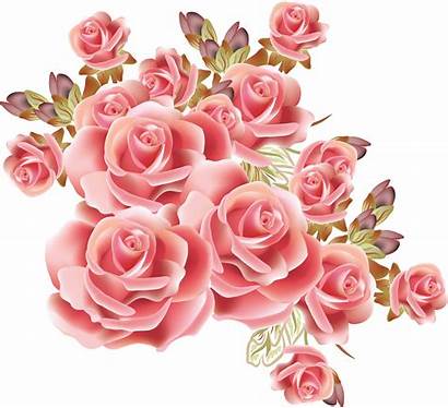 Pink Rose Flower Drawing Border Gold Flowers