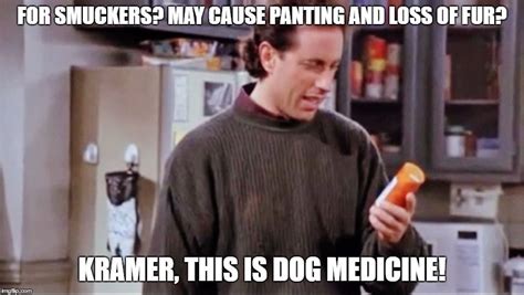 Kramer Got Dog Medicine For His Cough But Wont Take It Seinfeld