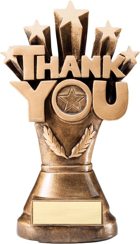 Thank You Trophy 8 Inches Tall Sponsor Award Trophies Amazon Canada