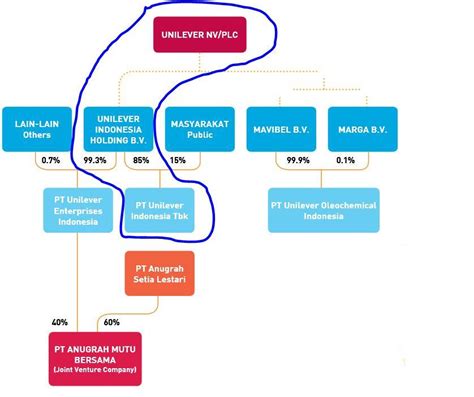 Unilever Org Chart