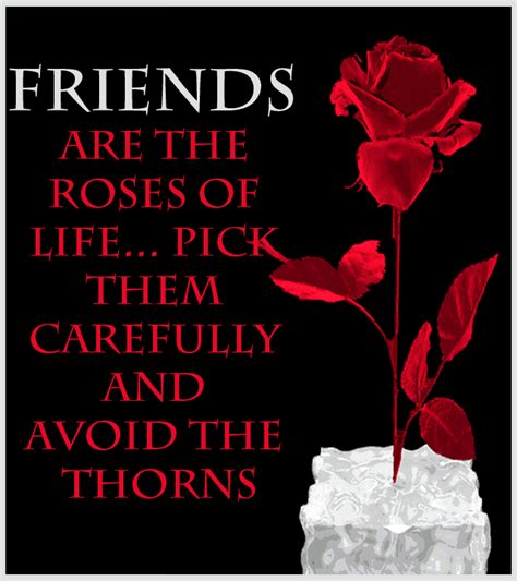 Decent Image Scraps: Friendship Quote Animated