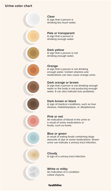 Urine Color Chart Whats Normal And When To See A Doctor 2024
