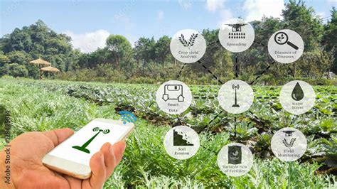 Precision Agriculture And Agritech Concept Sensor Network In