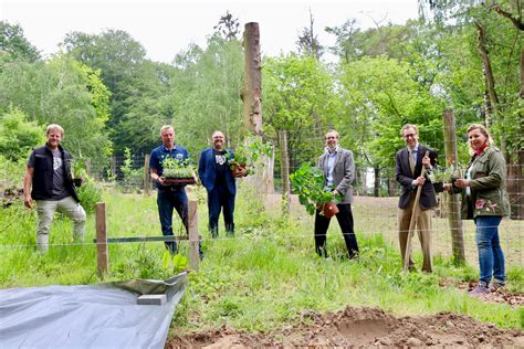 Man kann nicht sagen, dass er gefeiert würde, denn der anlass ist eher traurig. Erste Blüten zum Weltbienentag - OSKURIER
