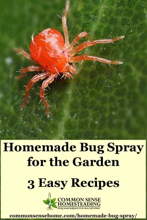 3 easy homemade bug spray recipes that you can make with ingredients from your garden and pantry. Homemade Bug Spray for the Garden - 3 Easy Recipes - Total Survival